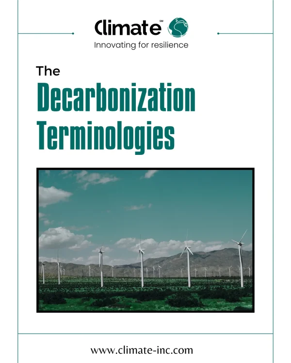 The Decarbonization Terminologies