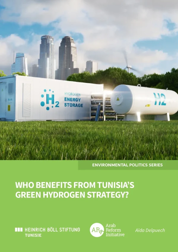 Who Benefits From Tunisia's Green Hydrogen Strategy?