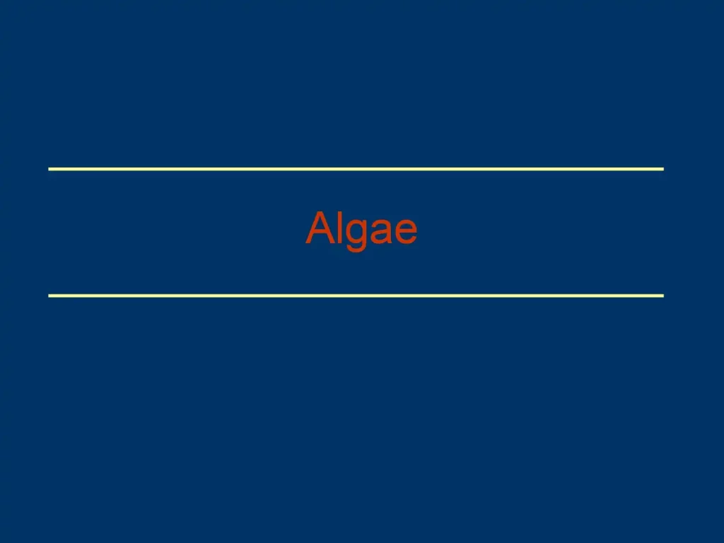 Algae