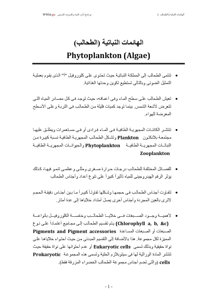 الهائمات النباتية (الطحالب)