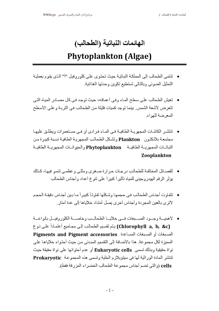 الهائمات النباتية (الطحالب)