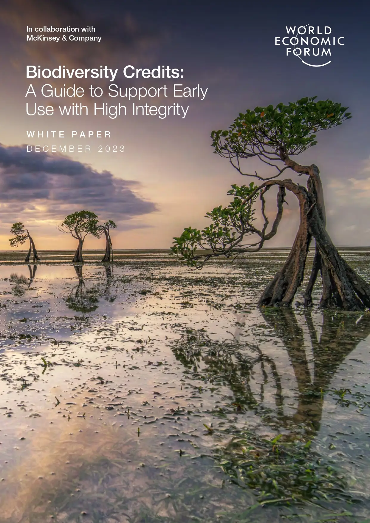 Biodiversity Credits: A Guide to Support Early Use with High Integrity