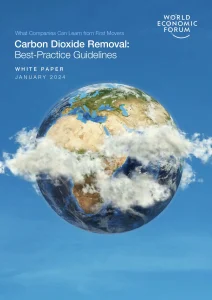 Carbon Dioxide Removal: Best-Practice Guidelines