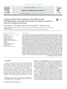 Composite Hollow Fiber Membranes With Different Poly (Dimethylsiloxane) Intrusions Into Substrate For Phenol Removal Via Extractive Membrane Bioreactor