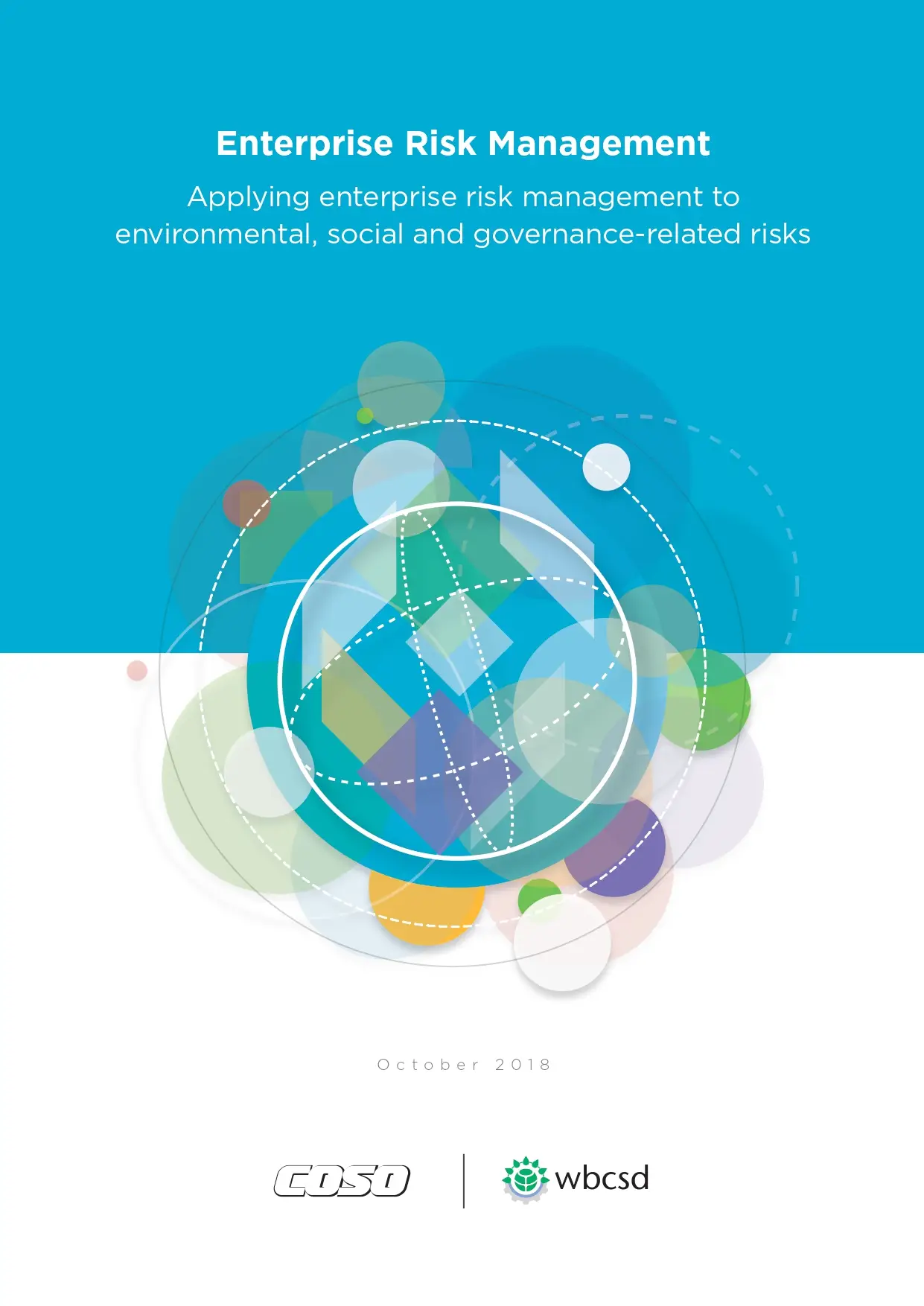 Enterprise Risk Management: Applying Enterprise Risk Management To Environmental, Social And Governance-Related Risks