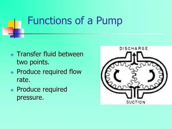 Functions Of A Pump