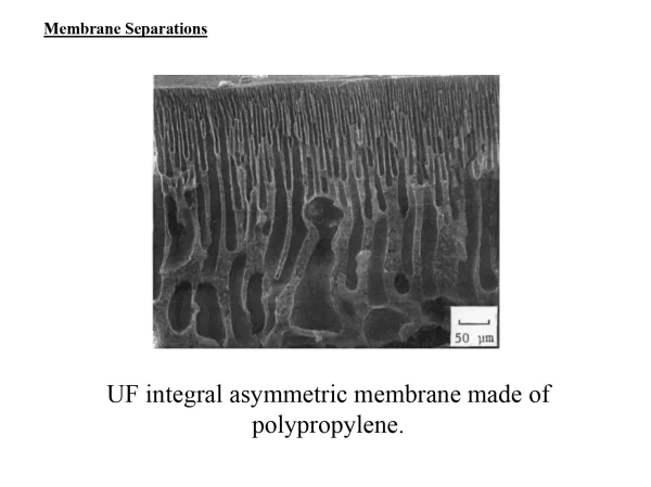 Membrane Separations: UF Integral Asymmetric Membrane Made Of Polypropylene