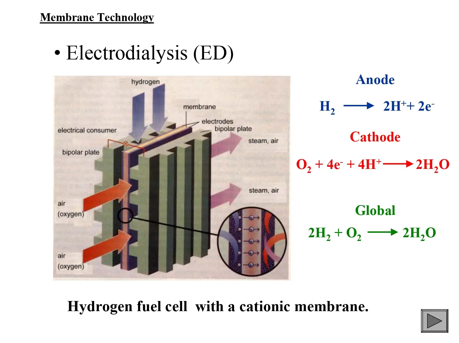 Membrane Technology: Electrodialysis (ED)