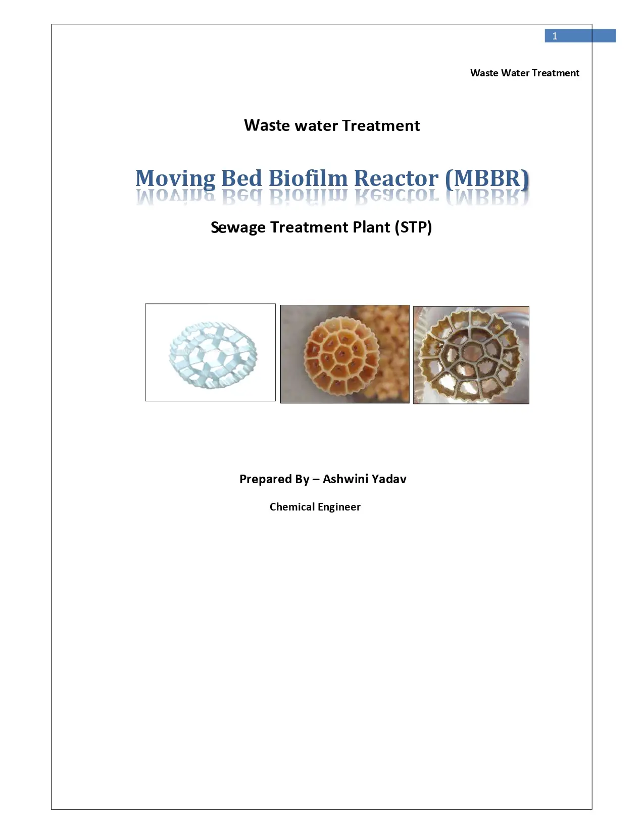 Moving Bed Biofilm Reactor (MBBR)