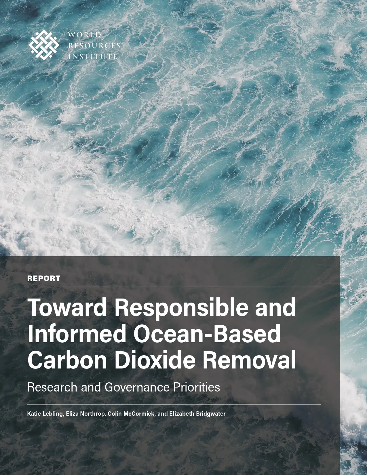 Toward Responsible and Informed Ocean-Based Carbon Dioxide Removal