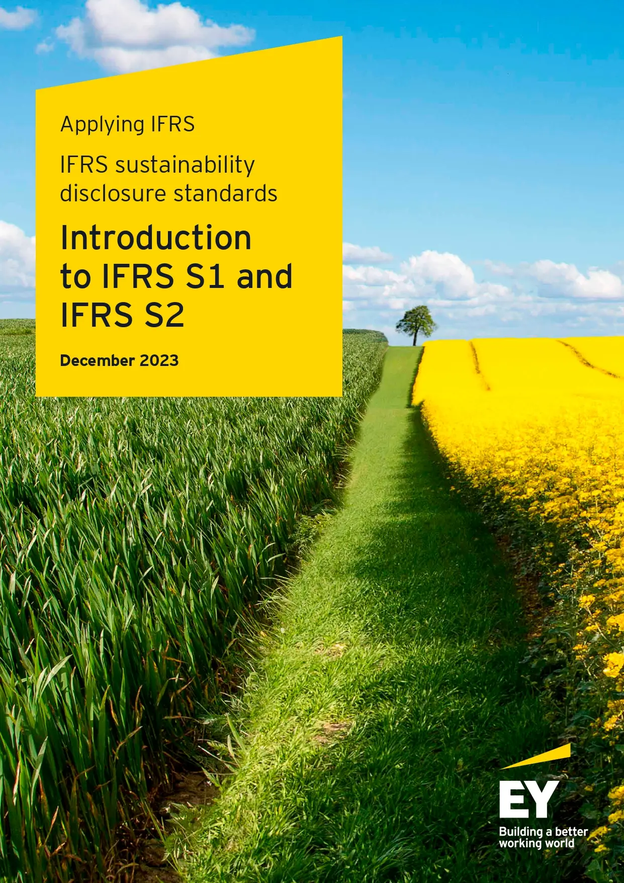 IFRS Sustainability Disclosure Standards Introduction to IFRS S1 and IFRS S2