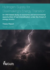 Hydrogen Supply for Steelmaking's Energy Transition