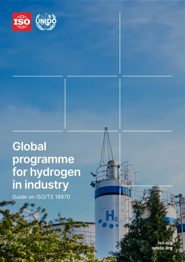 Global Programme for Hydrogen in Industry